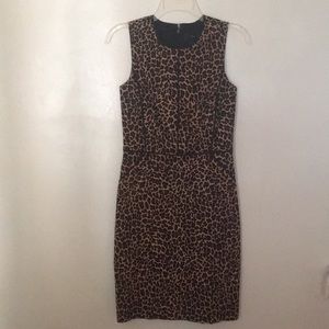 NWT j Crew leopard dress